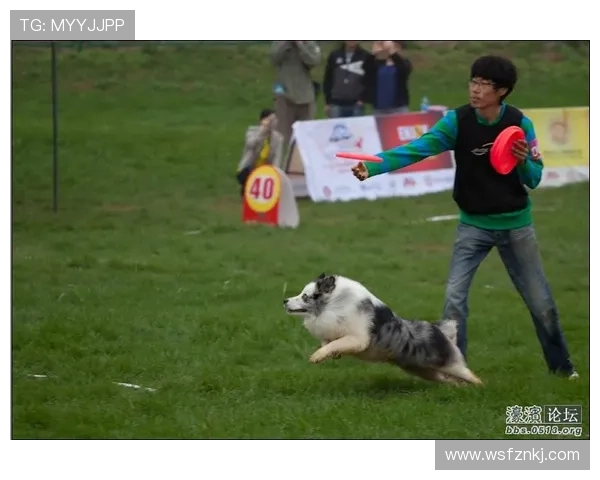 世界杯吸气（世界杯犬）世界杯体育论坛